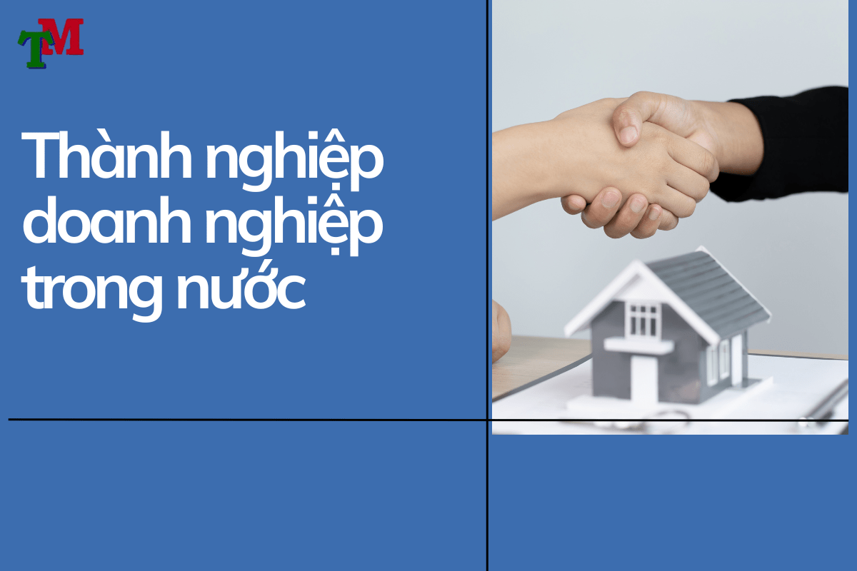 Thành lập doanh nghiệp trong nước 1 Luat Thien Ma 9