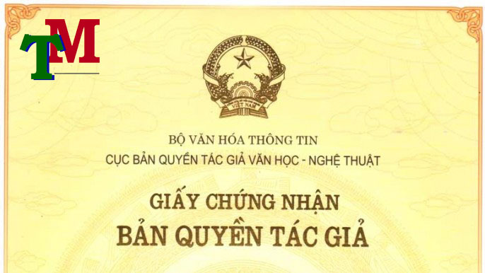 Luật Thiên Mã – Dịch vụ luật sư chuyên nghiệp