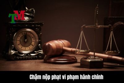 Chậm nộp phạt vi phạm hành chính