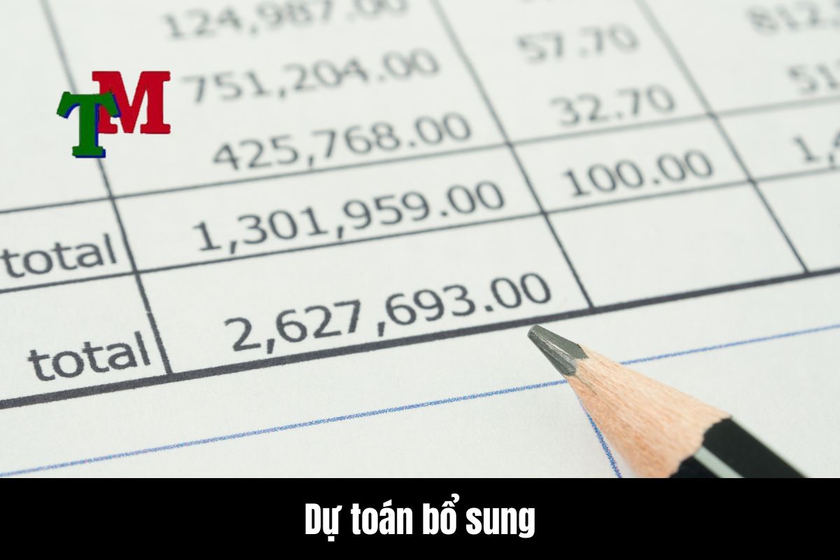 Tìm hiểu nhiệm vụ của công chức tài chính kế toán xã, cấp phường 2 Dự toán bổ sung có mục tiêu