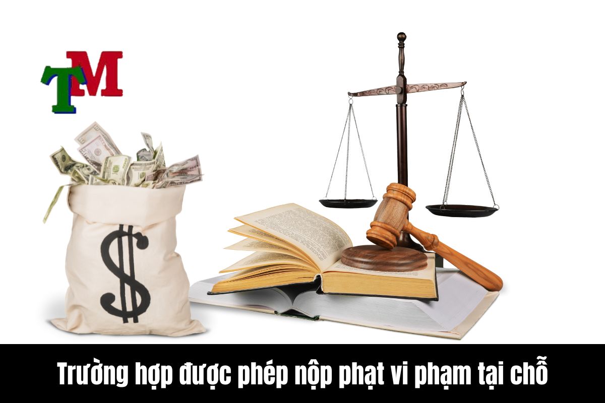 Xử lí gấp các trường hợp chậm nộp tiền phạt vi phạm hành chính 3 Một số trường hợp được phép nộp phạt vi phạm tại chỗ