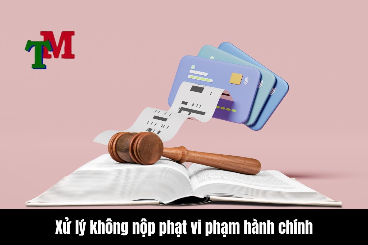 Xử lí gấp các trường hợp chậm nộp tiền phạt vi phạm hành chính 2 Xử lý không nộp phạt vi phạm hành chính