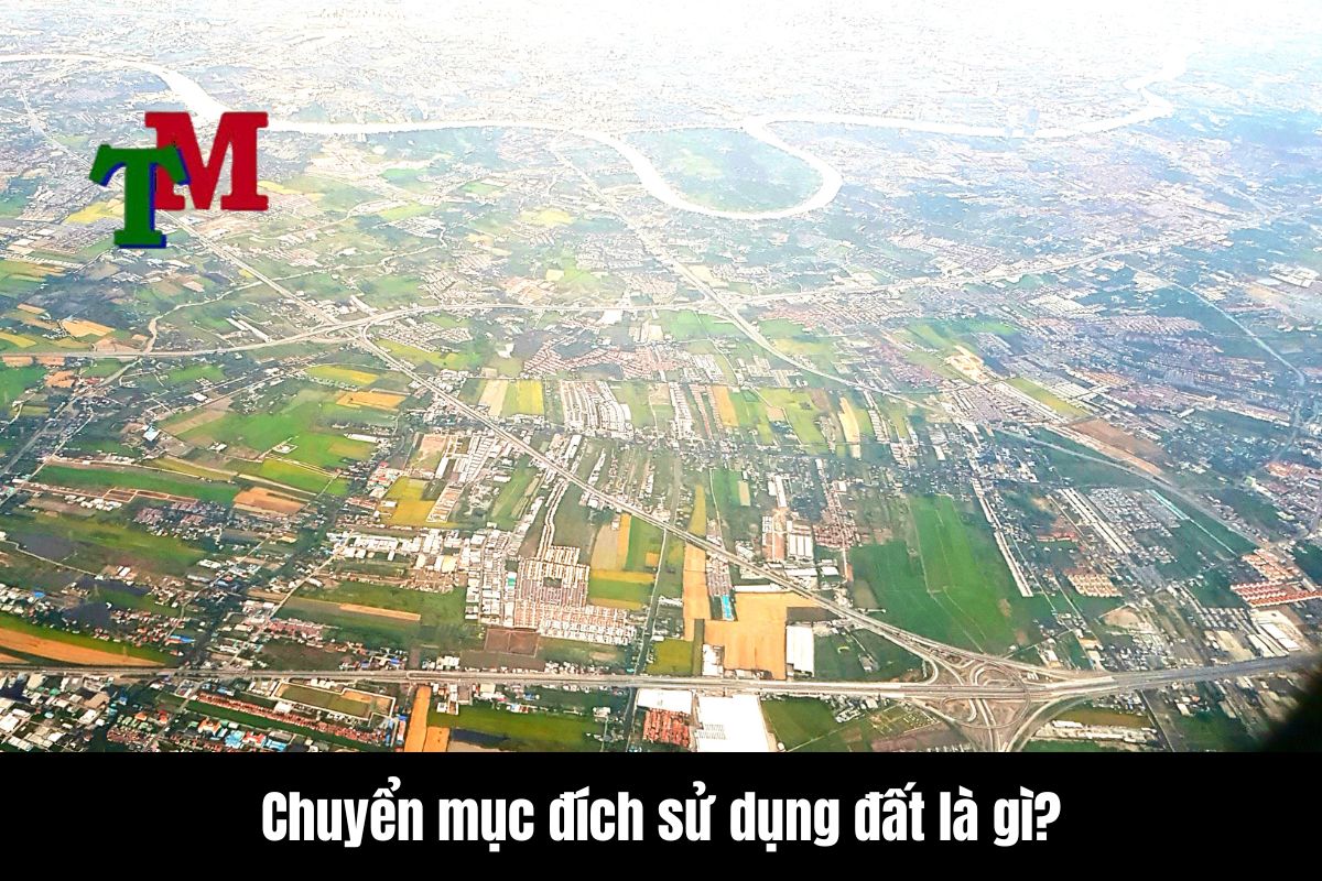 Mẫu đơn xin chuyển mục đích sử dụng đất 1 Chuyển mục đích sử dụng đất