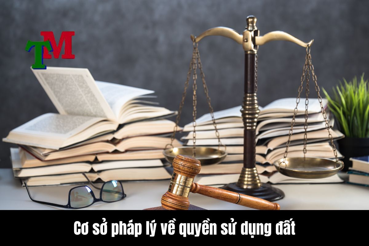 Cơ sở pháp lý về quyền sử dụng đất của hợp tác xã