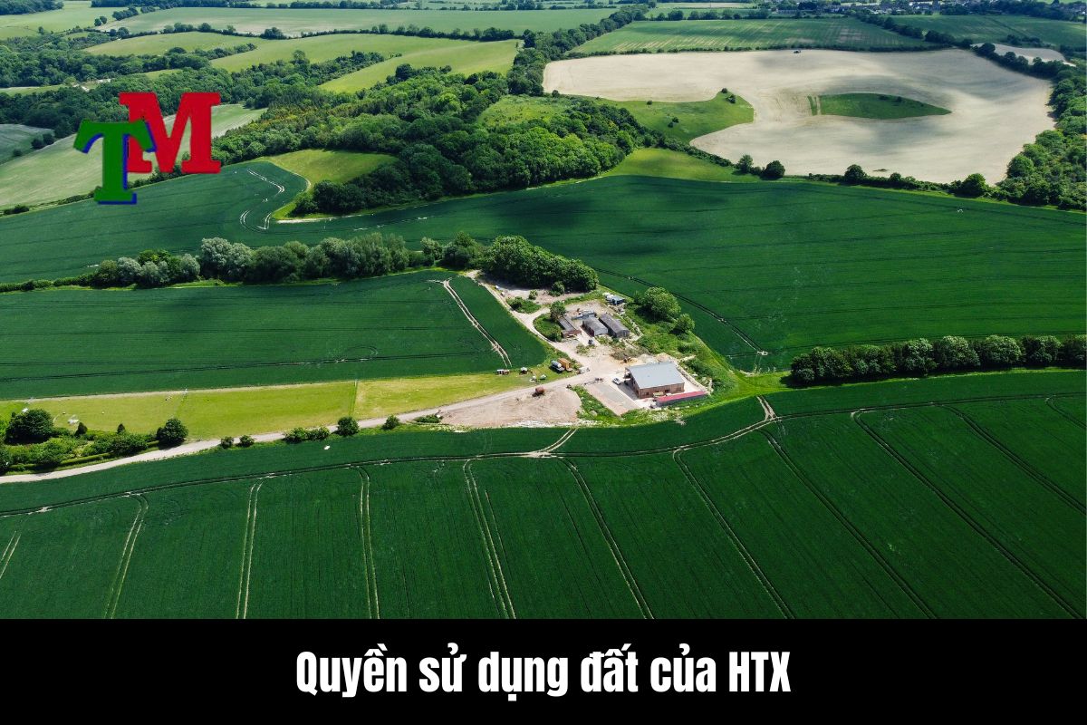 Đặc điểm riêng về QSDĐ của HTX