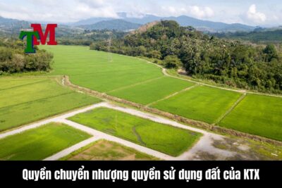 HTX có quyền chuyển nhượng quyền sử dụng đất hay không