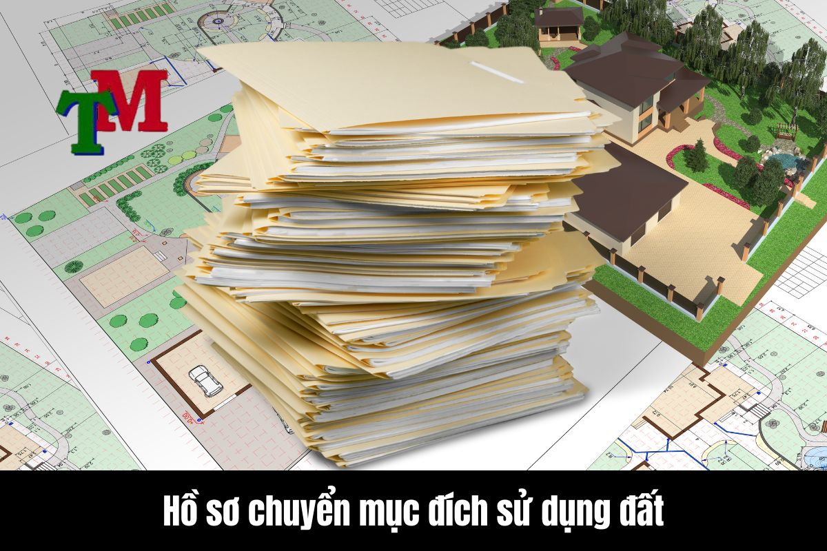 Mẫu đơn xin chuyển mục đích sử dụng đất 3 Hồ sơ, thủ tục xin chuyển mục đích sử dụng đất thế nào