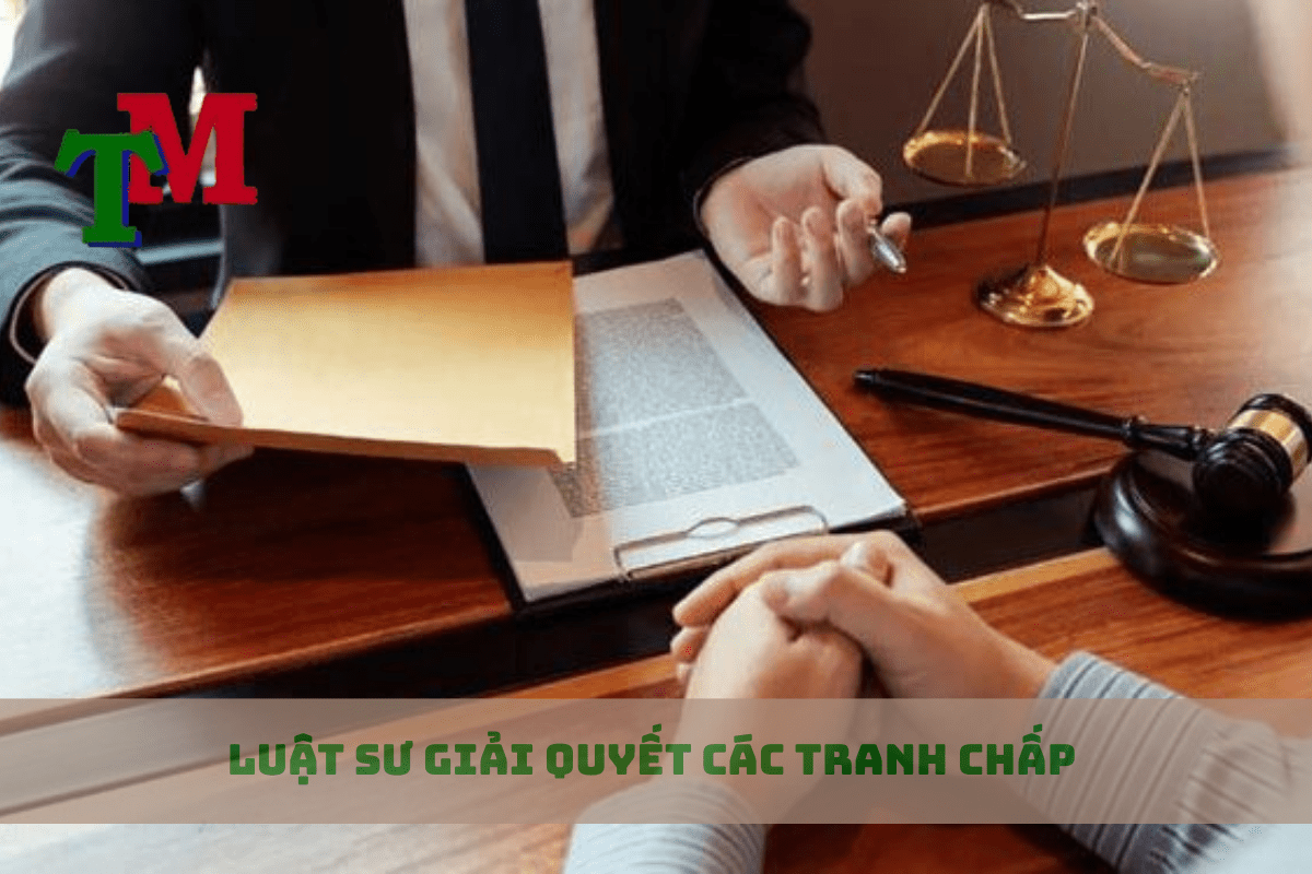LUẬT SƯ ĐẠI DIỆN GIẢI QUYẾT CÁC TRANH CHẤP 