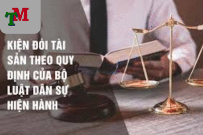 Luật sư hướng dẫn khởi kiện đòi tài sản nhanh chóng 18 Khởi kiện đòi tài sản