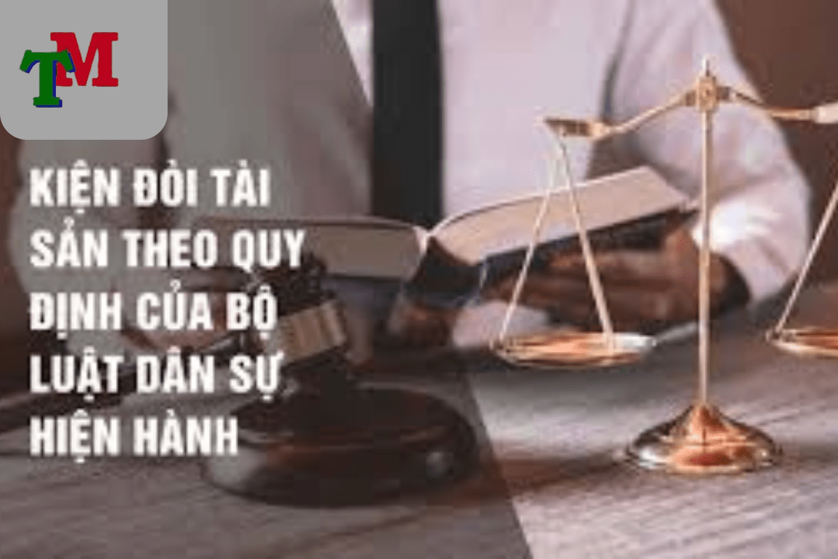 Luật sư hướng dẫn khởi kiện đòi tài sản nhanh chóng 1 Khởi kiện đòi tài sản