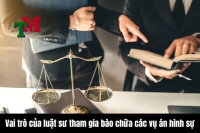 Vai trò của luật sư tham gia bào chữa các vụ án hình sự 21 Vai trò của luật sư tham gia bào chữa các vụ án hình sự