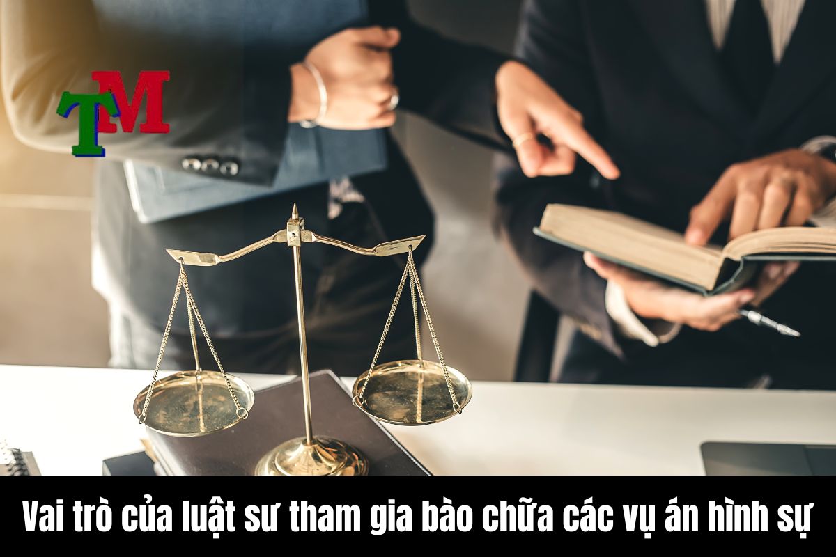 Vai trò của luật sư tham gia bào chữa các vụ án hình sự 1 Vai trò của luật sư tham gia bào chữa các vụ án hình sự