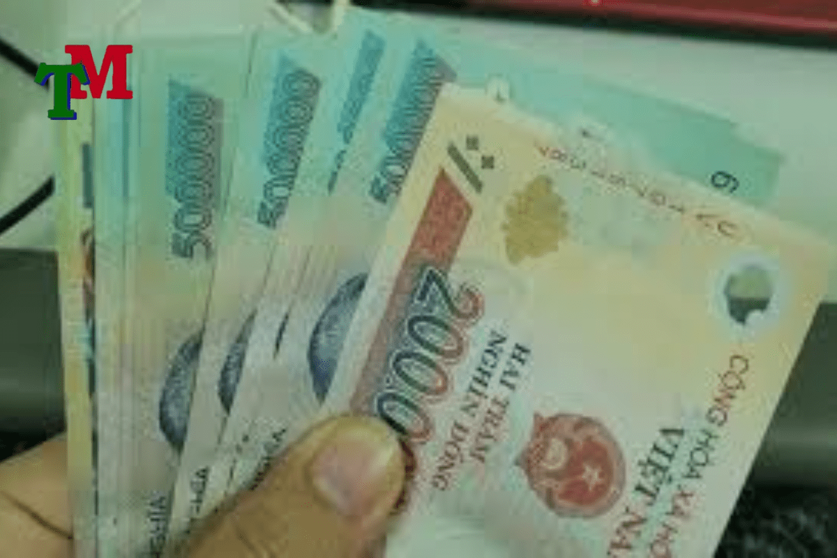 khởi kiện đòi nợ cho tổ chức 