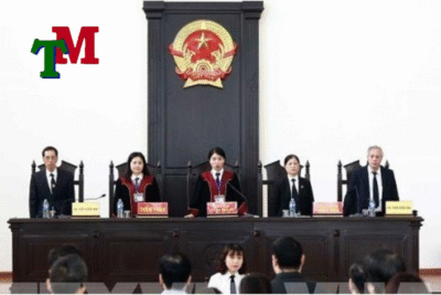 Luật sư đại diện giải quyết vụ việc tại Toà Án 7 luật sư đại diện giải quyết vụ việc tại Tòa án