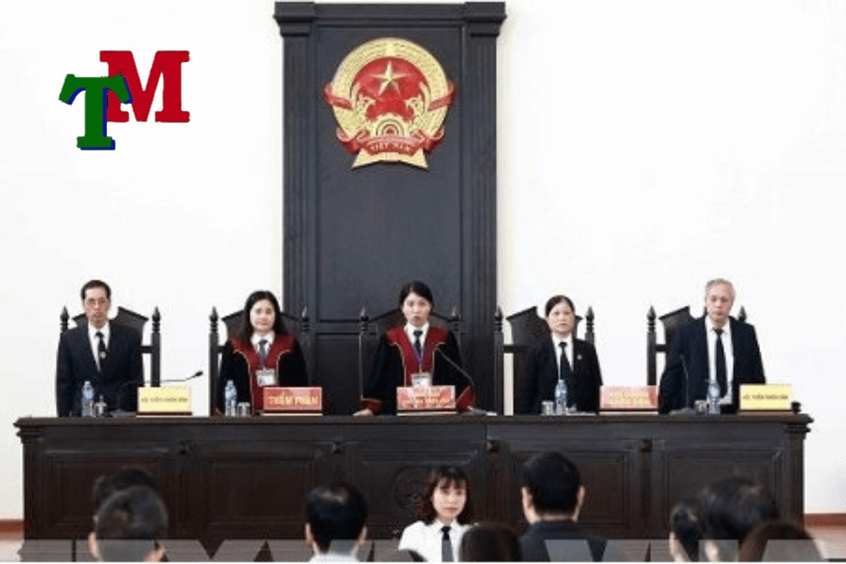 luật sư đại diện giải quyết vụ việc tại Tòa án 