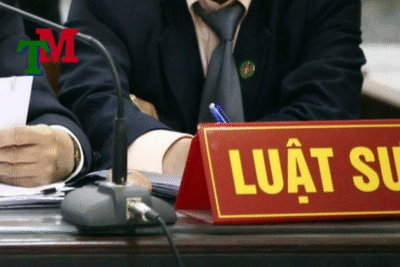 luật sư đại diện giải quyết vụ việc tại Tòa án