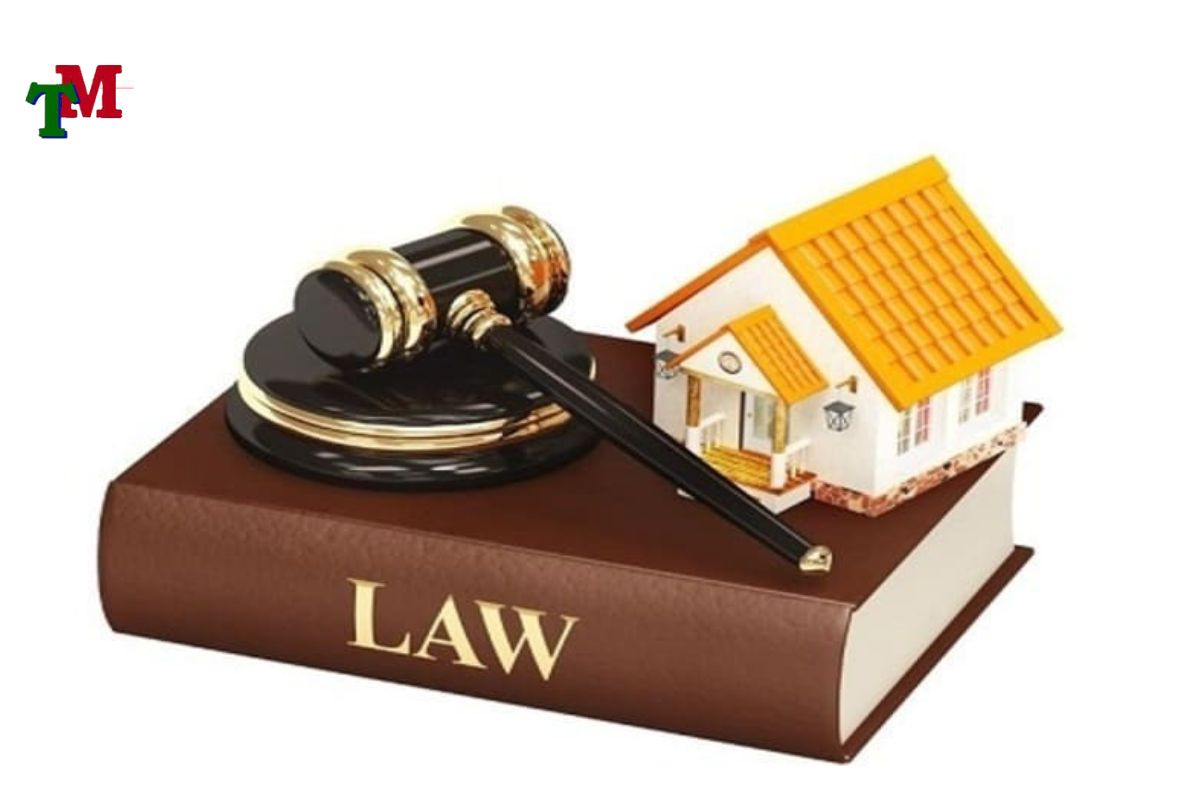 Tư vấn giải quyết tranh chấp đất đai với Việt Kiều - Có yếu tố nước ngoài 1 Quyền sở hữu đất của Việt Kiều tại Việt Nam