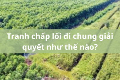 Tranh chap loi di chung giai quyet nhu the nao
