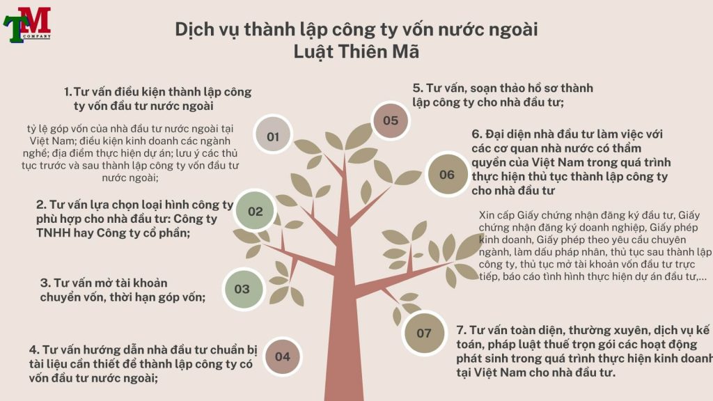 Luật Thiên Mã – Dịch vụ luật sư chuyên nghiệp