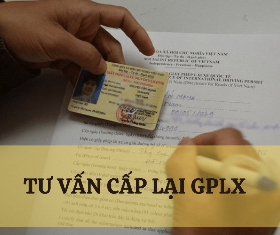 tư vấn cấp lại giấy phép lái xe - gplx