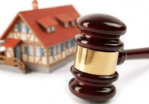 nhan-hoi-lo-bao-nhieu-thi-bi-khoi-to-nam-2023