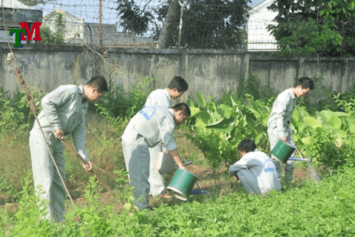 Chồng nghiện ma túy có nên ly hôn không? Luật sư tư vấn từ A - Z 2 Chồng đi tù, cai nghiện, vợ có được đơn phương ly hôn không