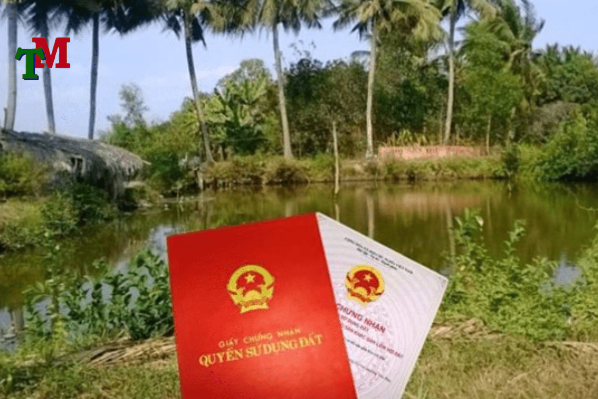Thủ tục làm sổ đỏ đất ao như thế nào? 2 Điều kiện cấp sổ đỏ cho đất ao