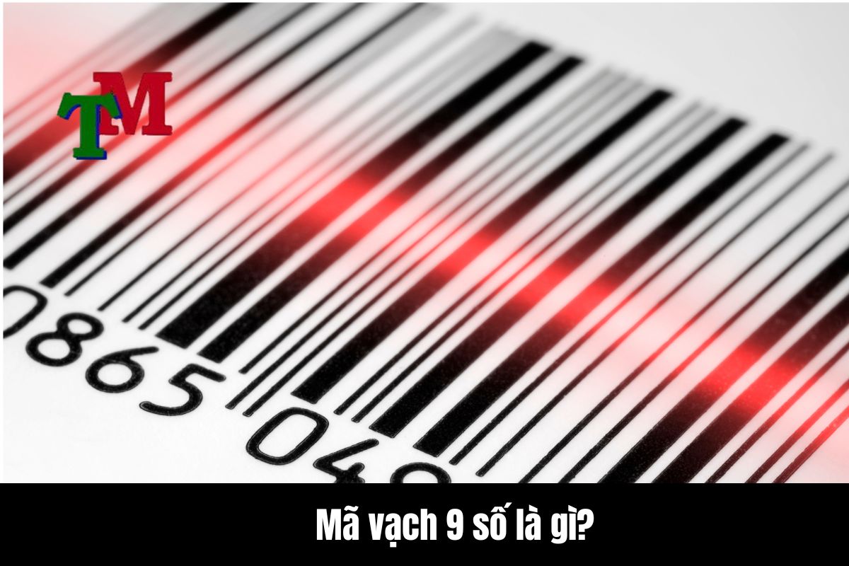 Đăng ký mã vạch 9 số 1 Mã vạch 9 số là gì?