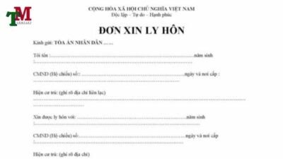 don-xin-ly-hon