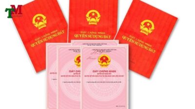 pham-vi-uy-quyen-su-dung-dat-1