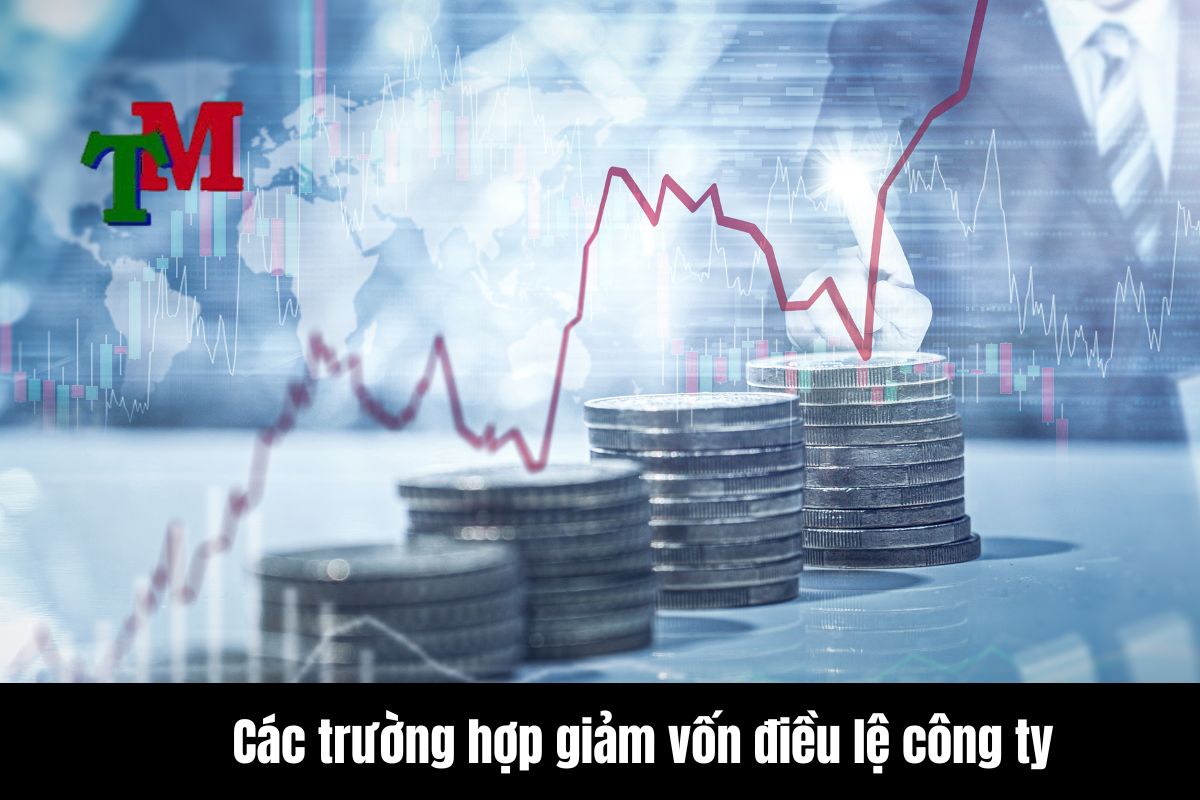 Các trường hợp giảm vốn điều lệ công ty