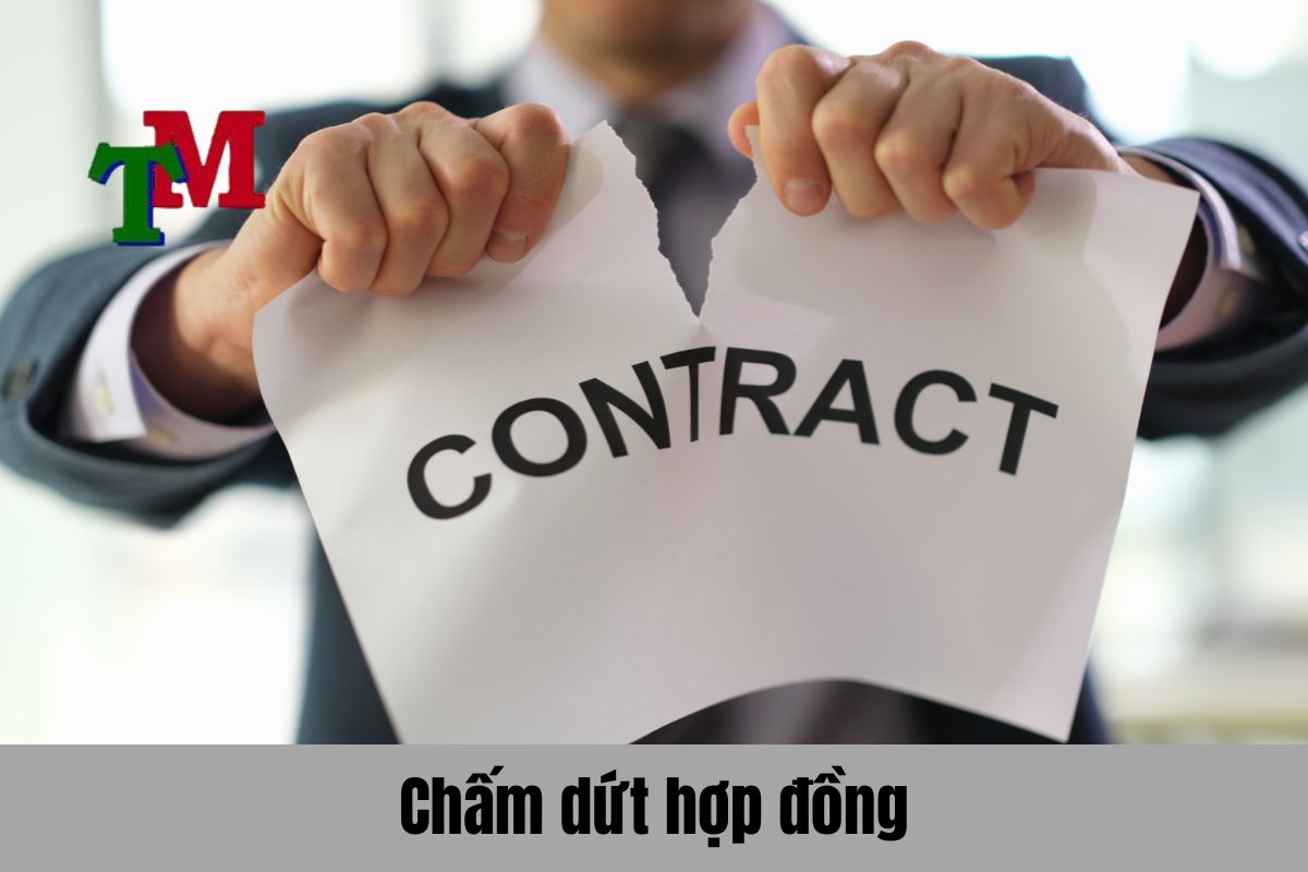 Các trường hợp quy định về chấm dứt hợp đồng