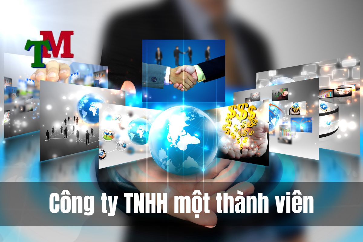 Dịch vụ thành lập công ty, doanh nghiệp trọn gói 2025 2 Công ty TNHH một thành viên