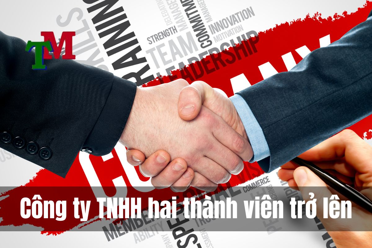 Dịch vụ thành lập công ty, doanh nghiệp trọn gói 2025 3 Công ty TNHH hai thành viên trở lên