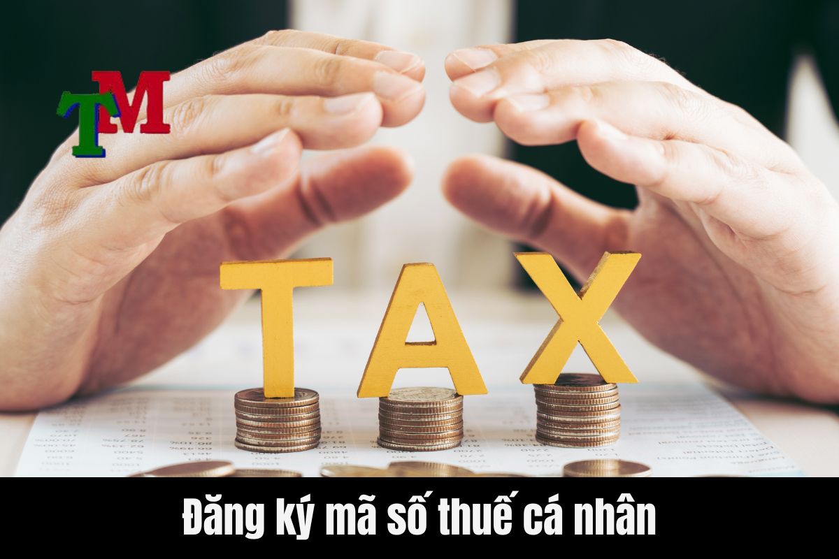 Thời gian đăng ký mã số thuế cá nhân mất bao lâu 1 Đăng ký mã số thuế cá nhân