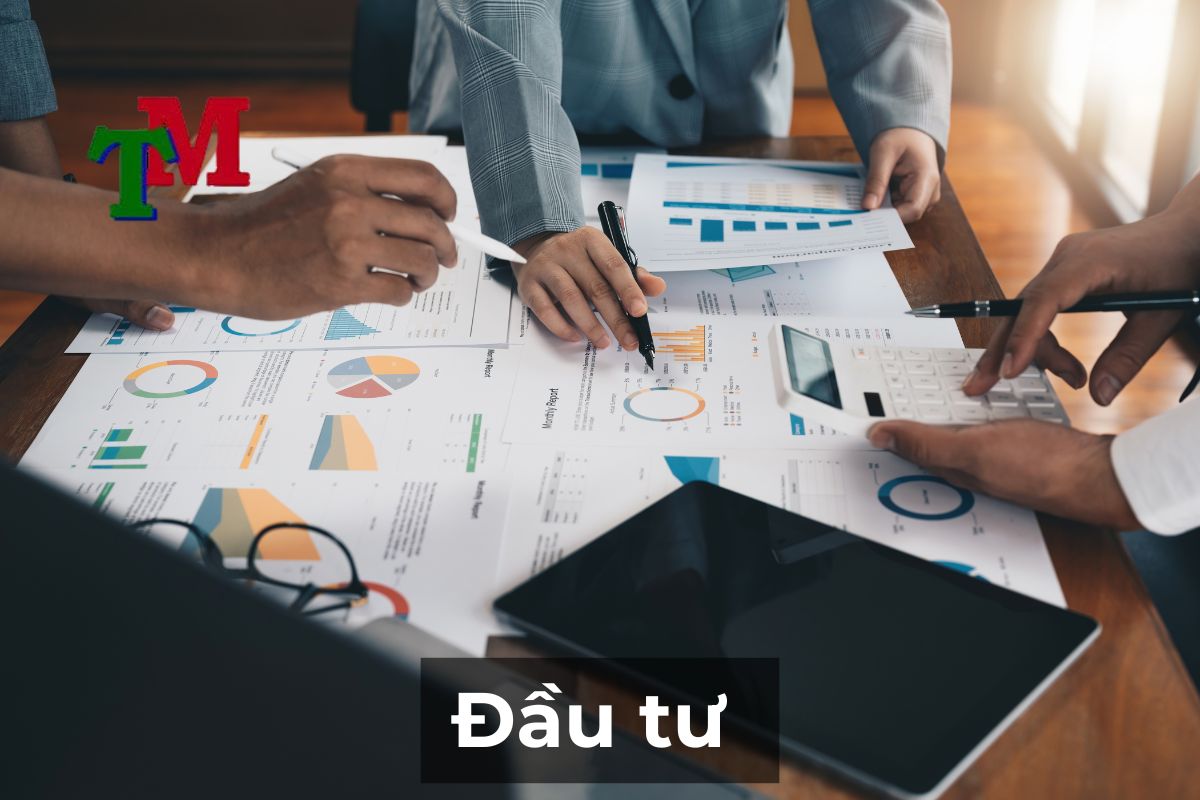 Điều chỉnh giấy chứng nhận đầu tư 1 Đầu tư
