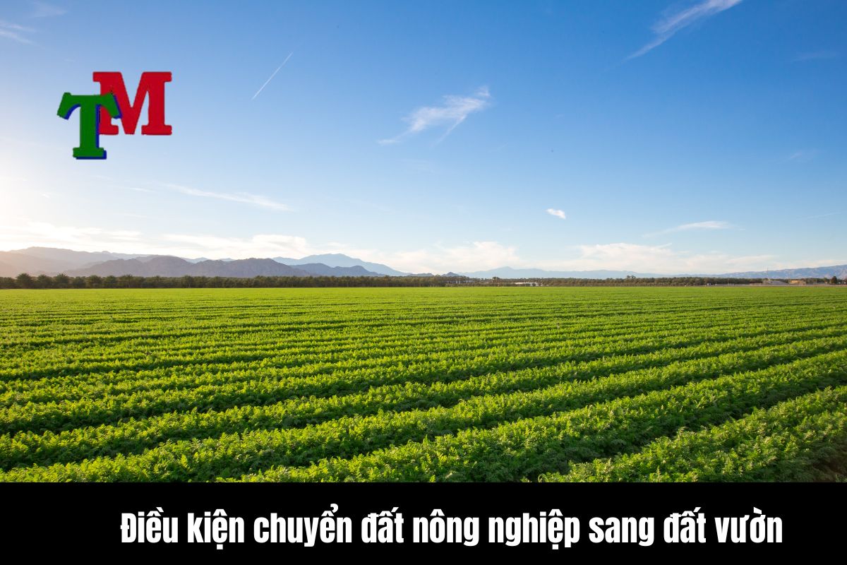 Phí chuyển đổi đất nông nghiệp sang đất ở 1 Điều kiện chuyển đất nông nghiệp sang đất vườn