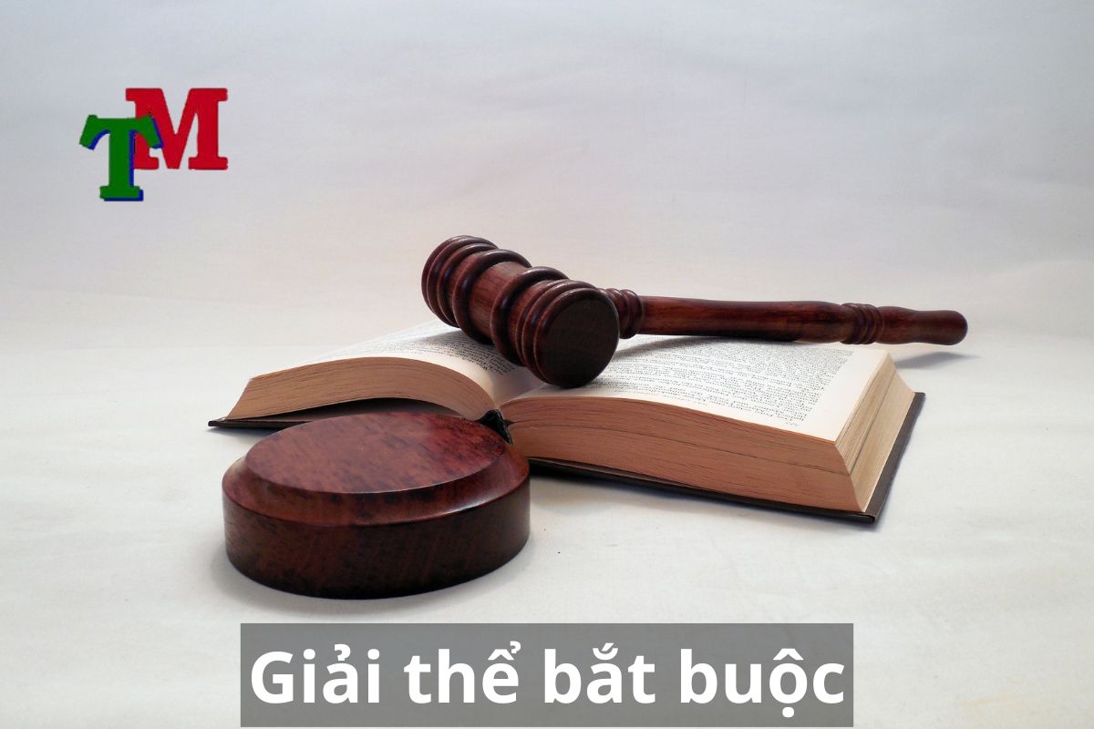 Trường hợp giải thể bắt buộc