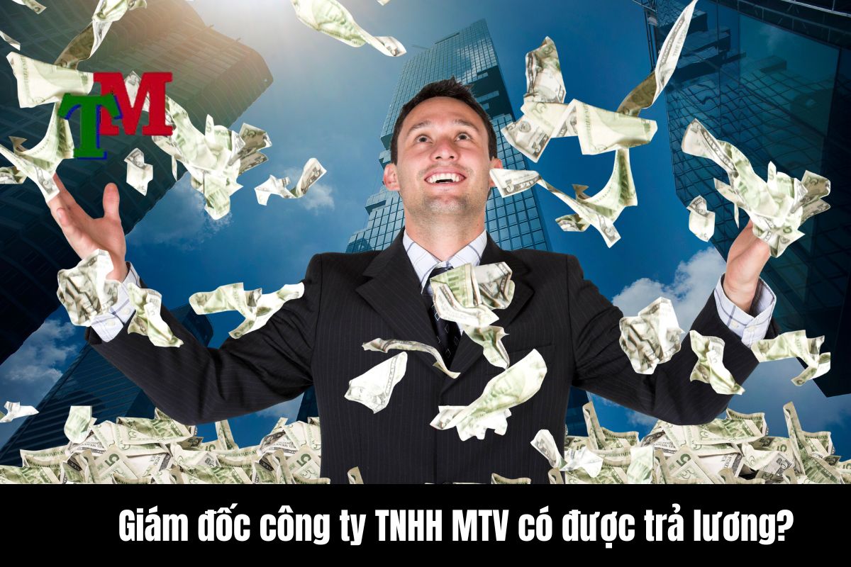 Giám đốc công ty TNHH 1 thành viên có được trả lương không