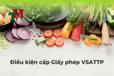 Điều kiện cấp giấy phép VSATTP