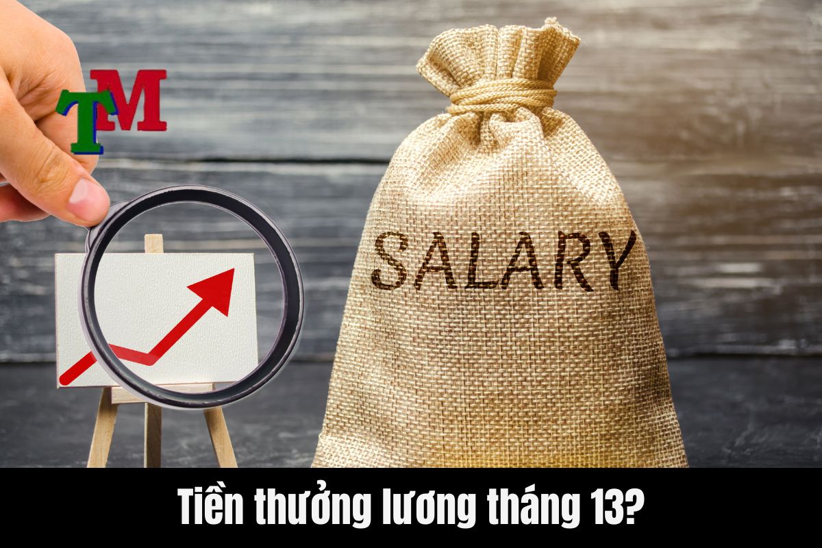 Tiền lương tháng 13 có tính thuế thu nhập cá nhân không? 1 Hiểu như thế nào về khái niệm tiền thưởng lương tháng 13