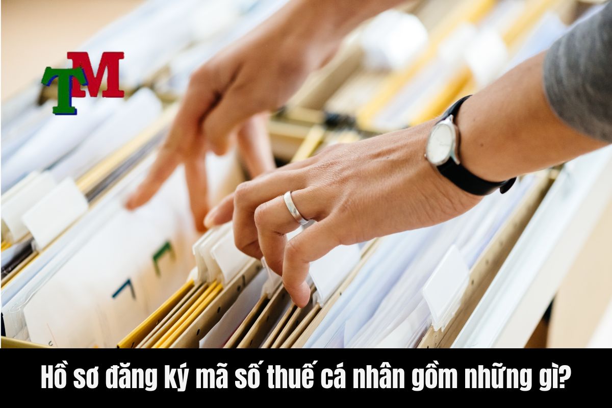 Thời gian đăng ký mã số thuế cá nhân mất bao lâu 2 Hồ sơ đăng ký mã số thuế cá nhân gồm những gì?