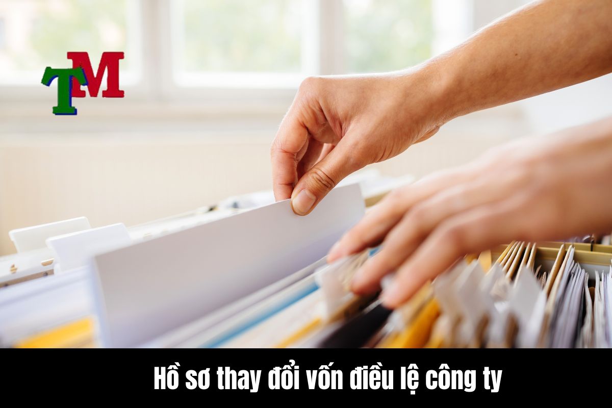 Hồ sơ thay đổi vốn điều lệ công ty
