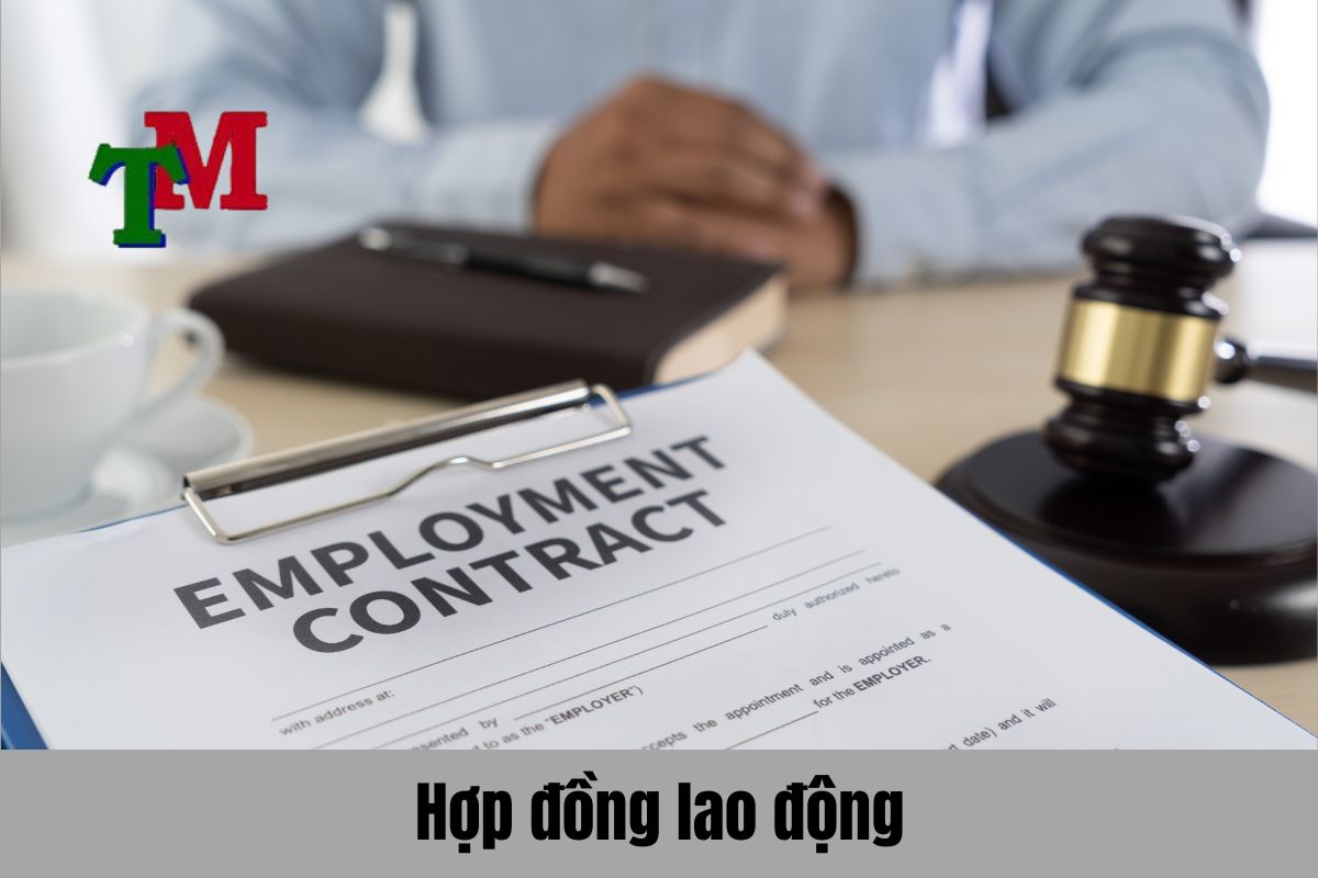 Hợp đồng lao động và các hình thức của hợp đồng lao động