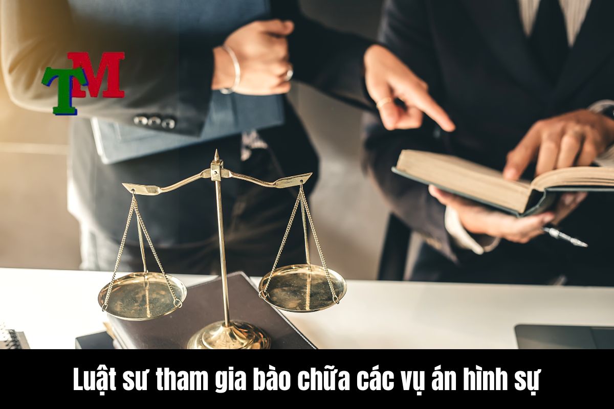 Luật sư tranh tụng trong các vụ án 2 Luật sư tham gia bào chữa các vụ án hình sự