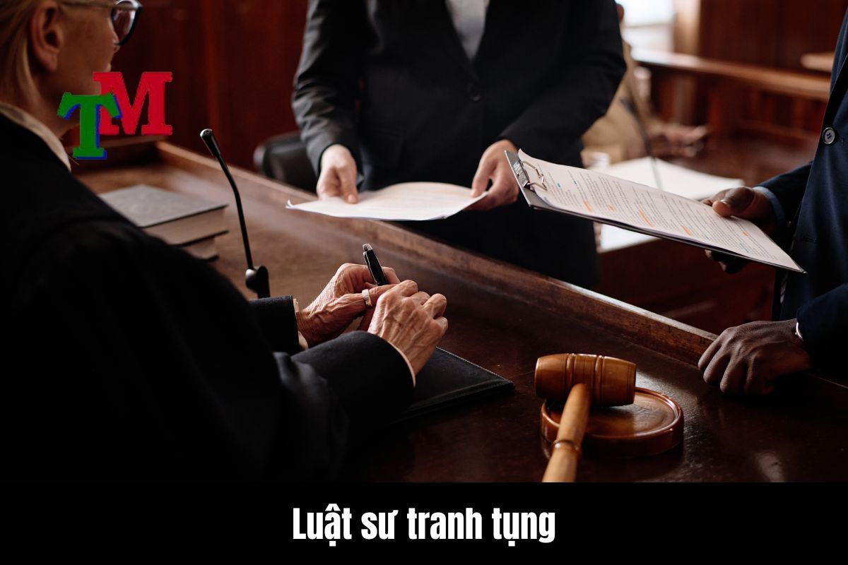 Luật sư tranh tụng trong các vụ án 1 Luật sư tranh tụng