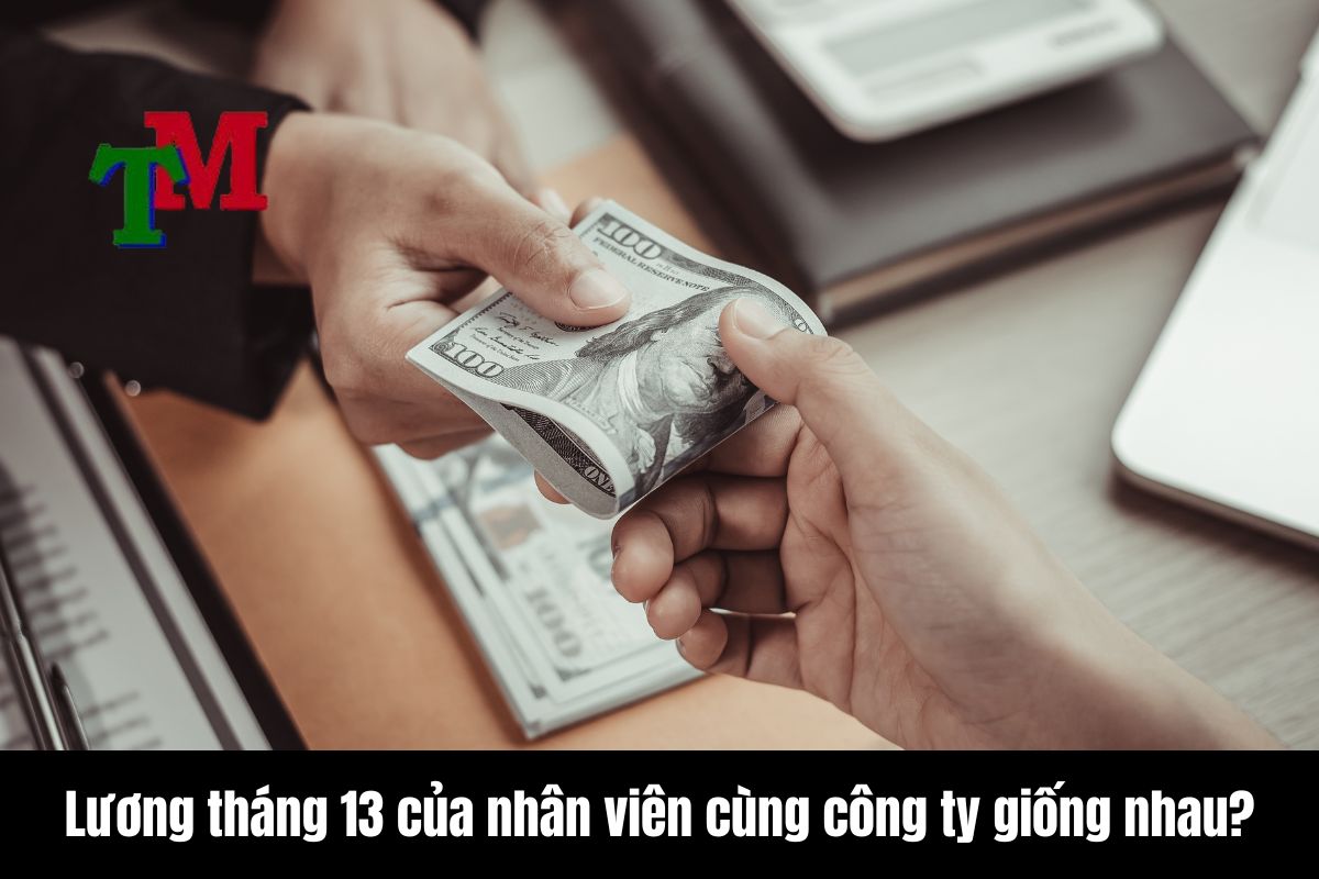 Tiền lương tháng 13 có tính thuế thu nhập cá nhân không? 3 Lương tháng 13 của nhân viên cùng công ty giống nhau không?