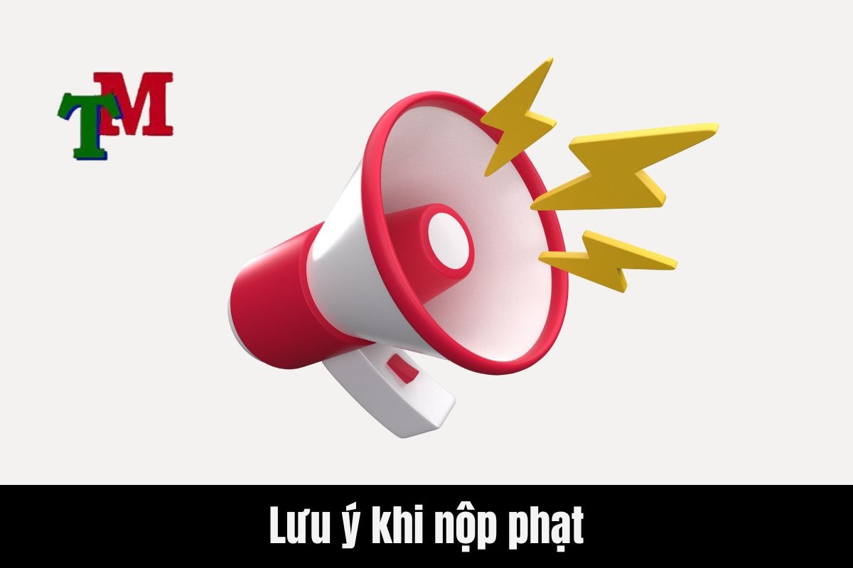 Nộp phạt vi phạm giao thông ở đâu? Ngoài kho bạc nhà nước? 3 Lưu ý khi nộp phạt