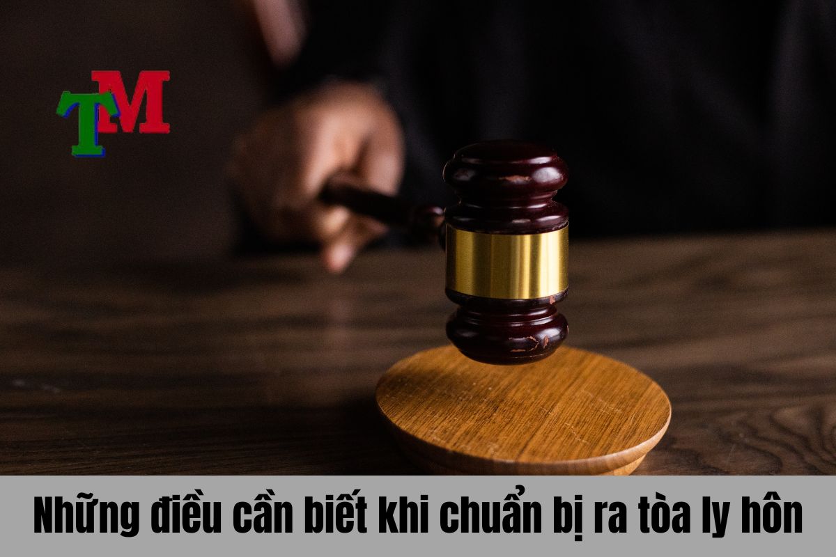 Những điều cần biết khi chuẩn bị ra tòa ly hôn