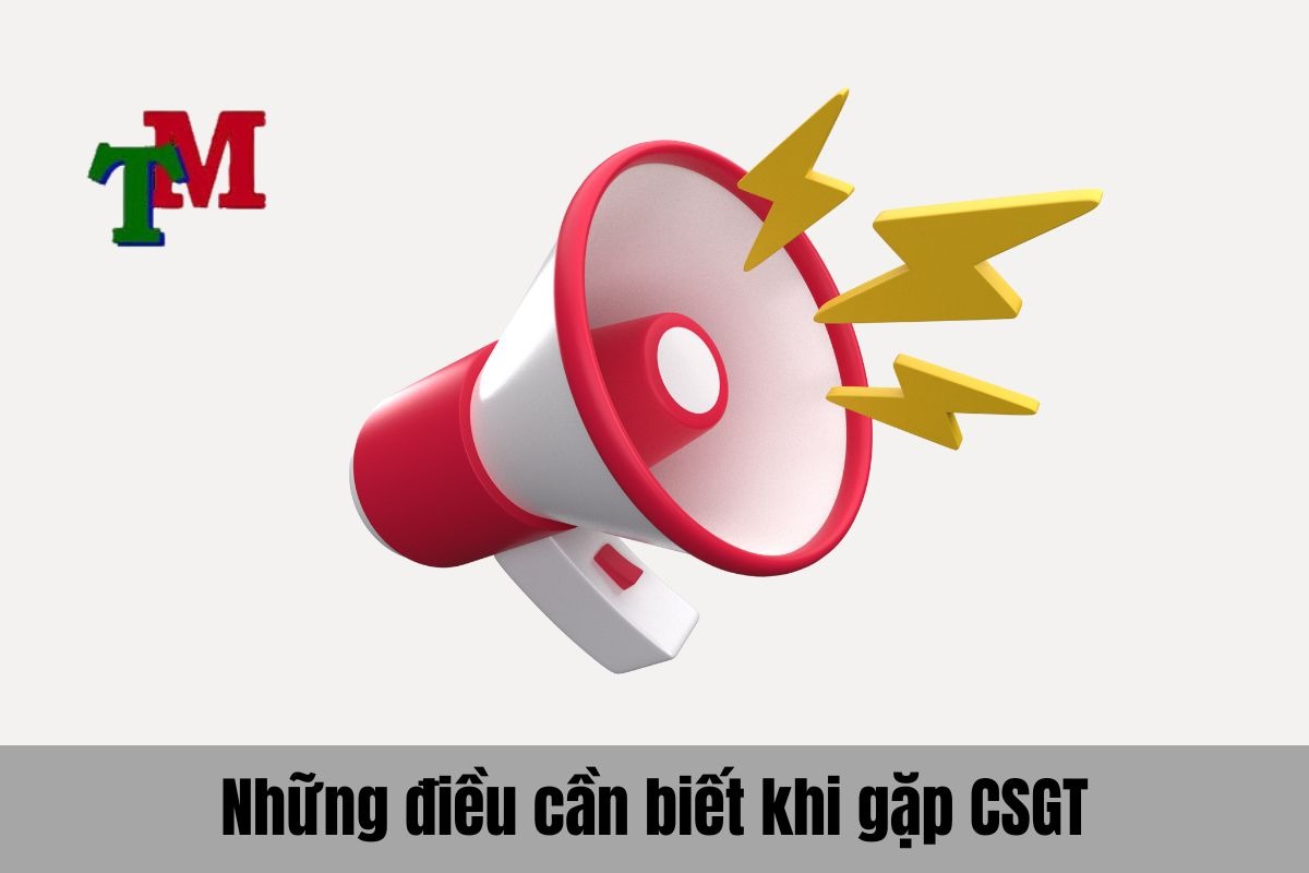 Những điều cần biết khi gặp cảnh sát giao thông